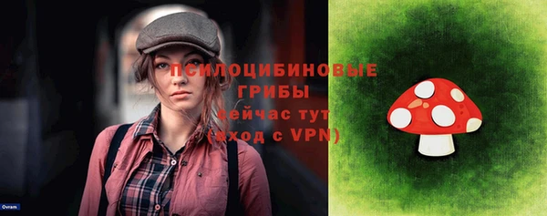 героин Пересвет